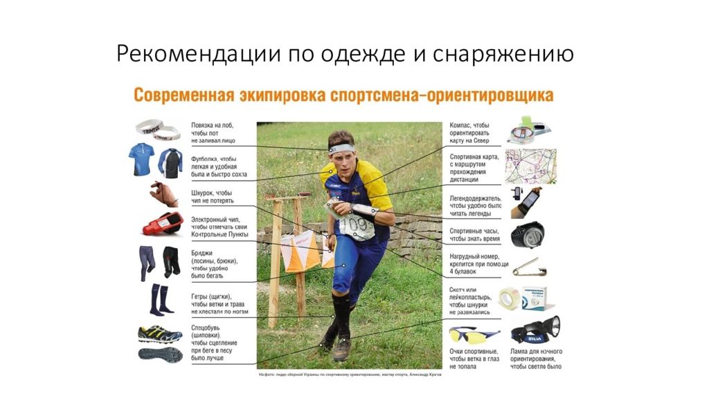 Спортивное ориентирование новосибирск