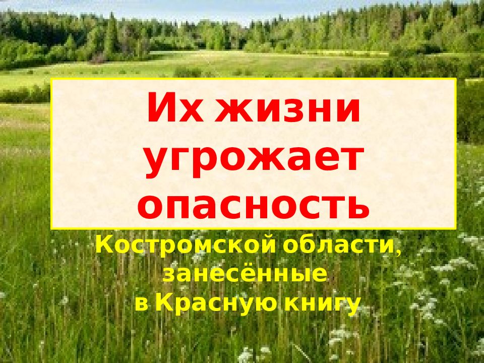 Животные и растения Костромской области, занесённые в Красную книгу Их жизни