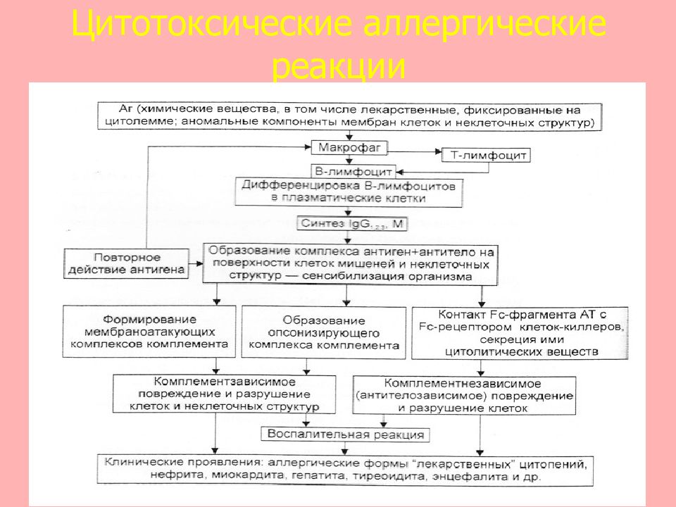 Аллергические реакции по кумбсу. Патогенез аллергического отека. Цитотоксический Тип аллергической реакции. Клинические формы аллергических процессов. Цитотоксические аллергические реакции.