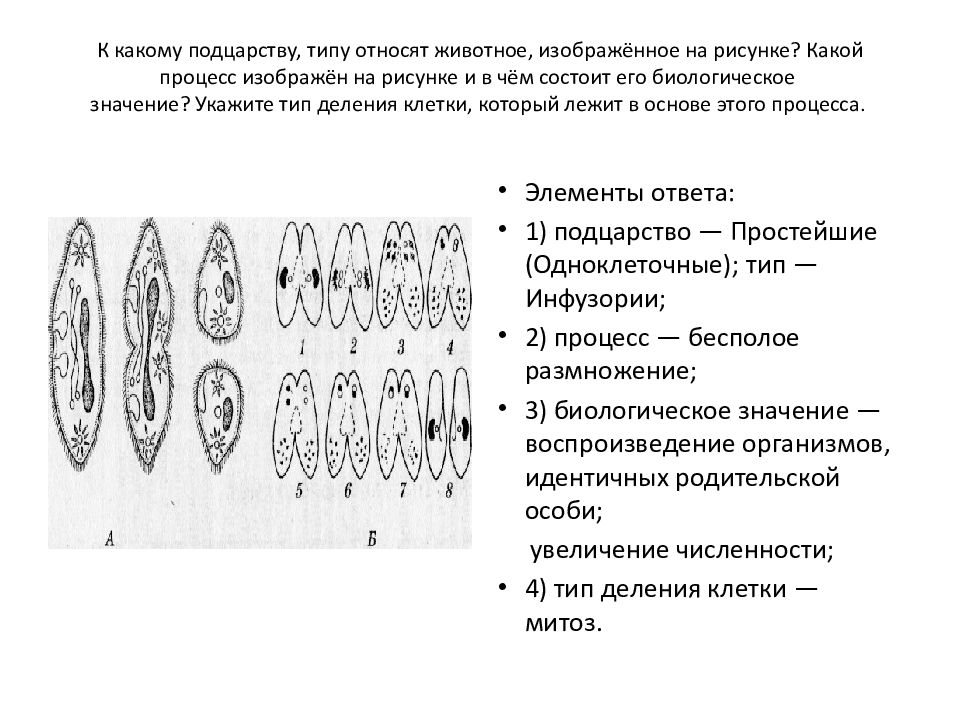 Схема какого процесса представлена на рисунке