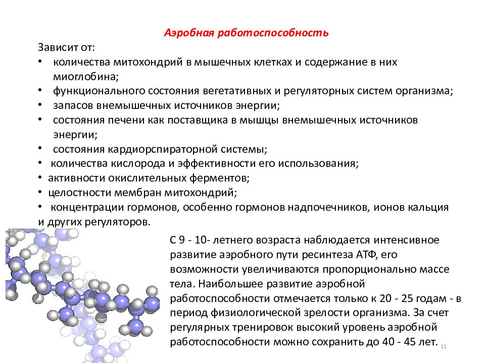 Основы спортивной тренировки презентация