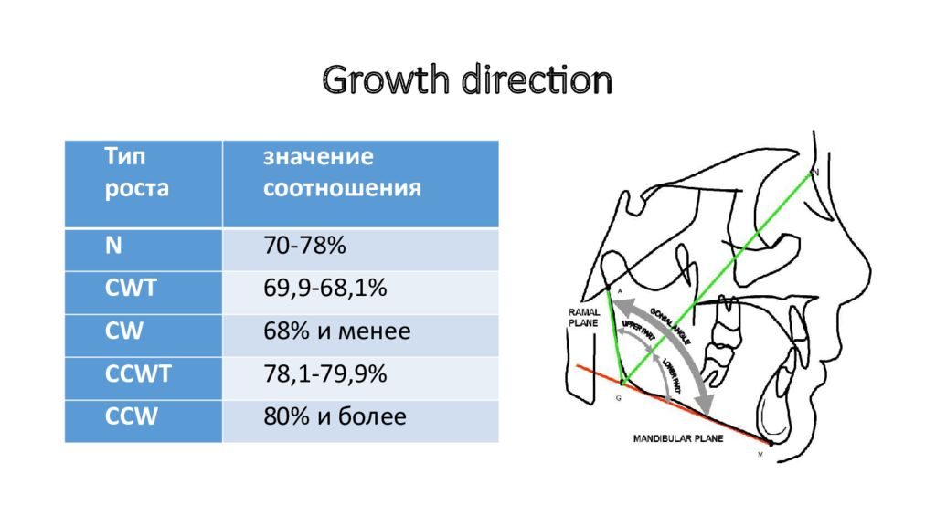 Sassouni Plus анализ ТРГ. Cephalometric Analysis. Соотношение челюстей по методике Sassouni. Growth Direction.