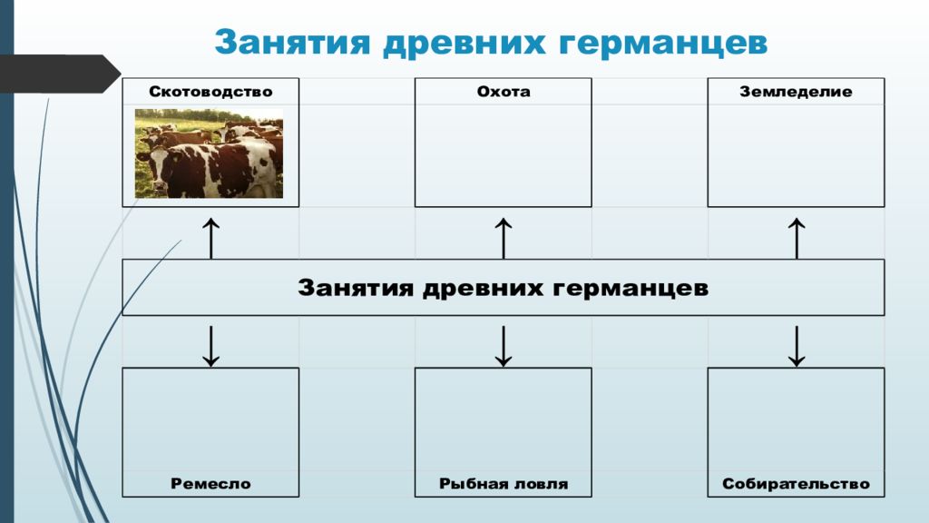 Источники древних германцев. Занятия древних германцев и их религии. Занятия древних германцев земледелие. Племена германцев схема. Основные занятия древних германцев.