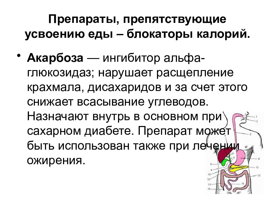 Всасывание пищи. Блокатор углеводов препараты. Таблетки препятствующие усвоения пищи. Препарат для снижения всасывания углеводов. Усвоение всасывание лекарств.