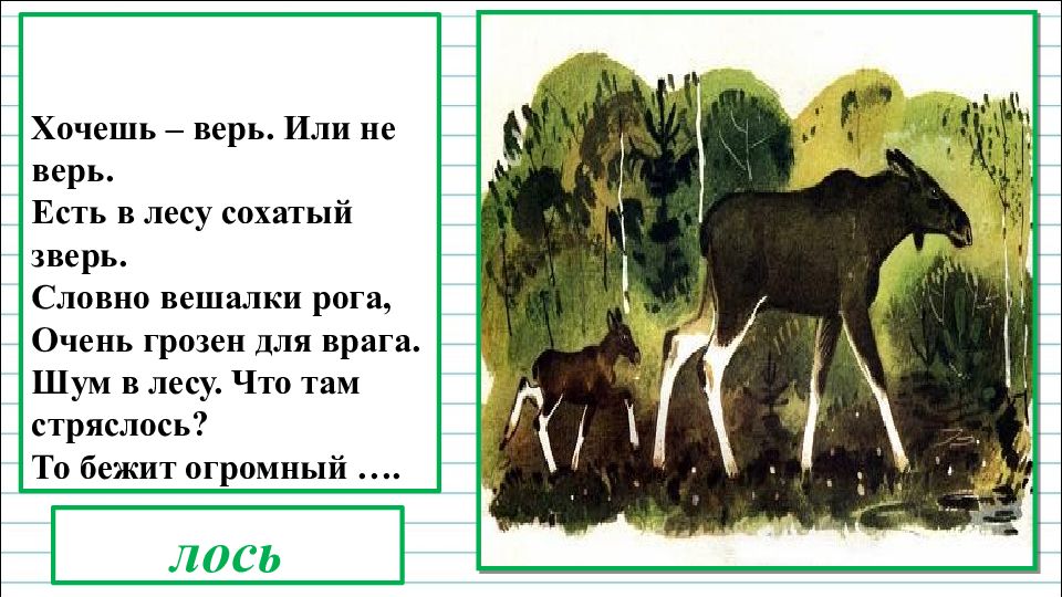 Хочешь верь хочешь не верь. Скребицкий рассказ про лося. Рассказы о Лосе детям Скребицкий. Скребицкий Лось текст. Скребицкий огромный Лось.