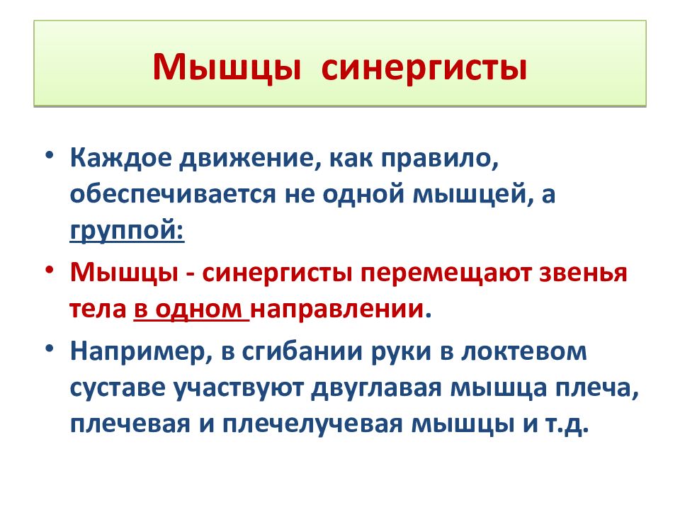 Примеры мышц. Мышцы синергисты. Мышцы антагонисты и синергисты примеры. Мышцы антагонисты функции. Назовите мышцы синергисты.