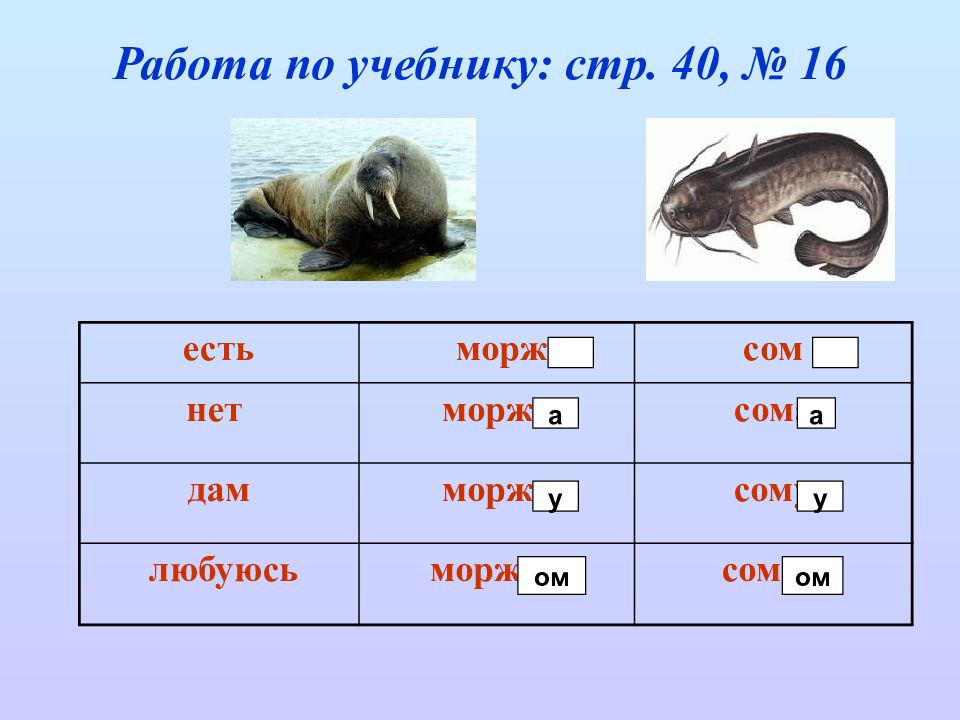 Сколько букв в слове тюлень. Разбор слова тюлень. Русский язык 2 класс слово тюлень. Тюлень разбор слова 1 класс. Схема слова тюлень.