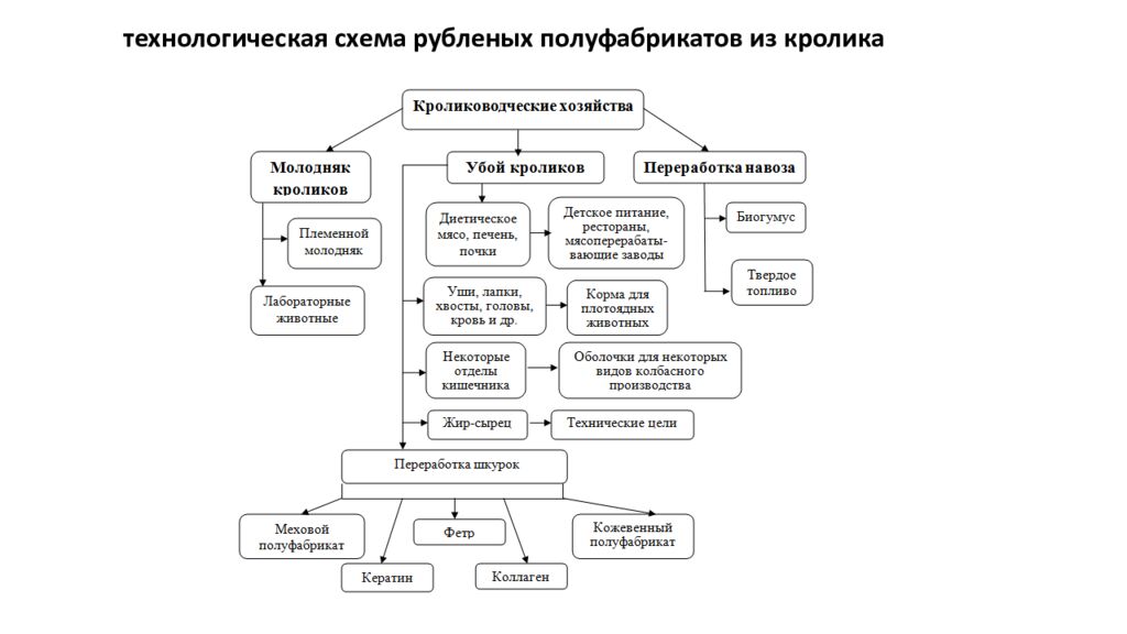 Технология рубленных полуфабрикатов из мяса птицы и кролика