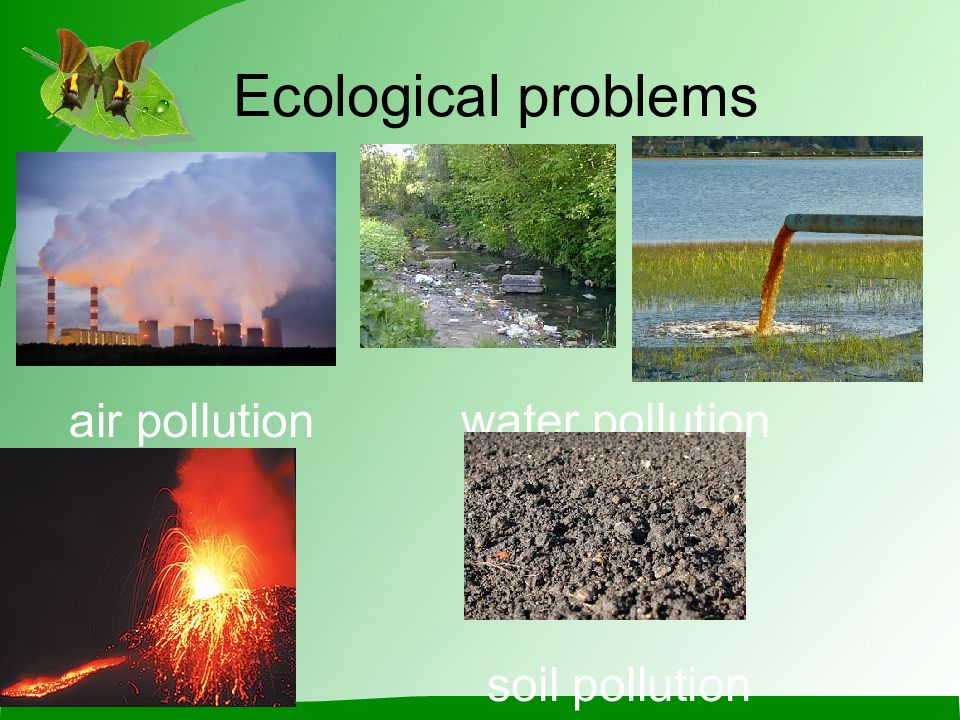 Ecological problems презентация