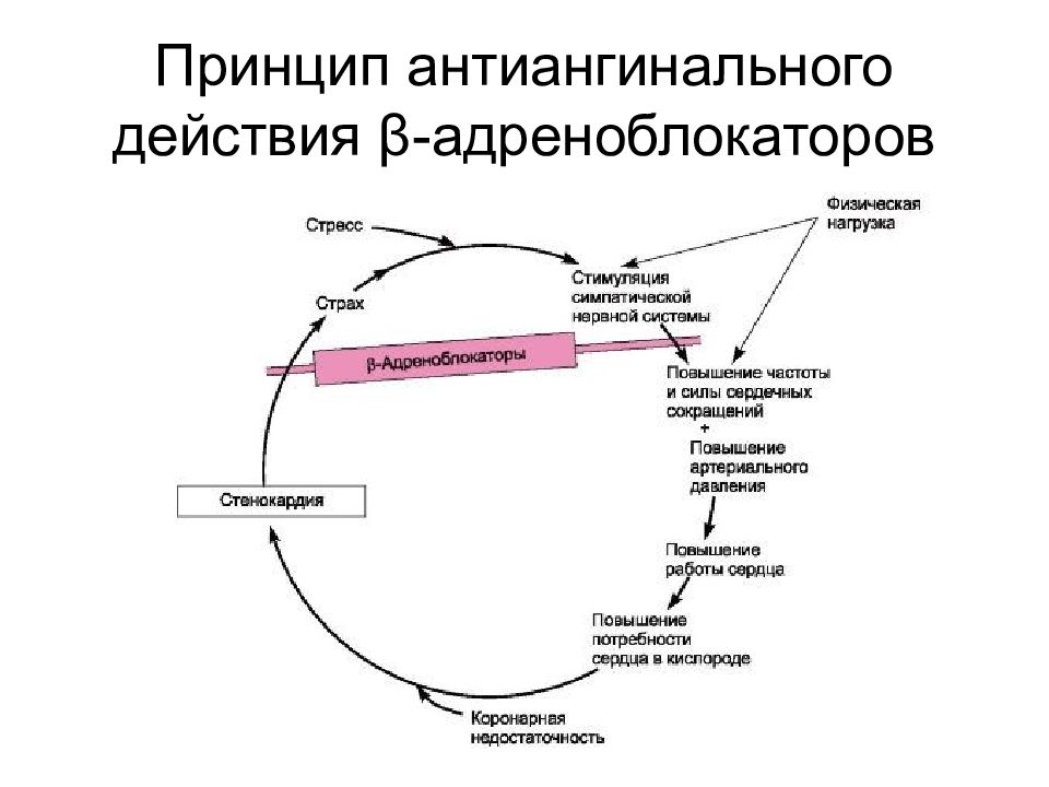 Антиангинальные средства схема