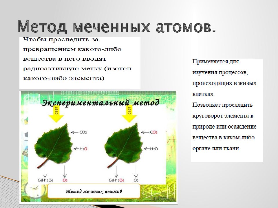 Презентация на тему метод меченых атомов