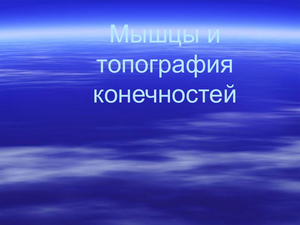 Мышцы и топография конечностей