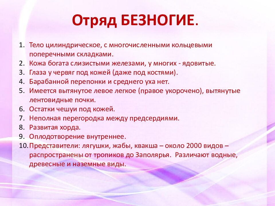 Отряд БЕЗНОГИЕ.