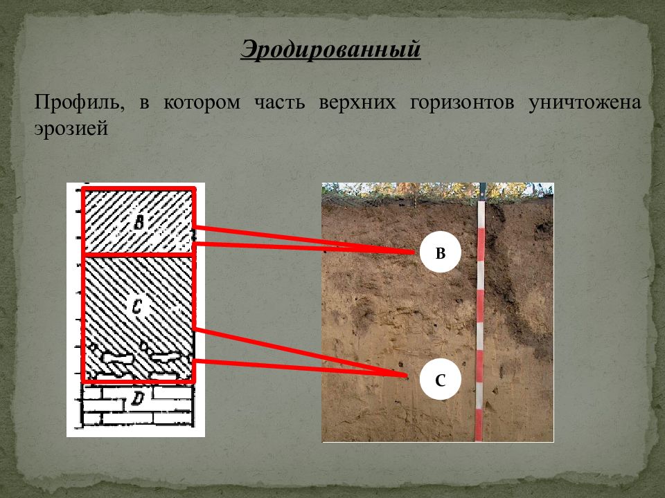 Верхний горизонт. Нарушенный (эродированный) почвенный профиль. Эродированные. Эродируемый материал.