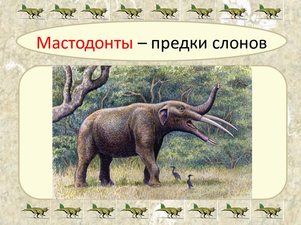 Мастодонт 7. Мастодонт Размеры. Предки слонов. Предок слона. Мастодонт и слон.