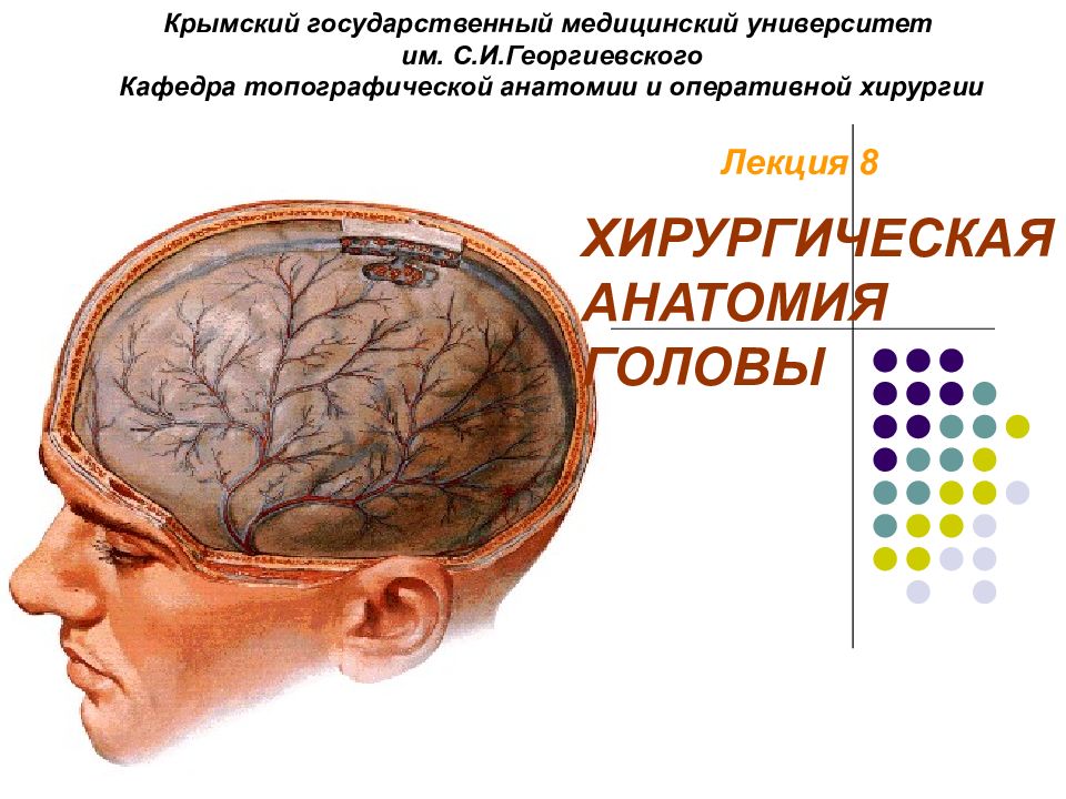 Лекция 8 ХИРУРГИЧЕСКАЯ АНАТОМИЯ ГОЛОВЫ Крымский государственный медицинский