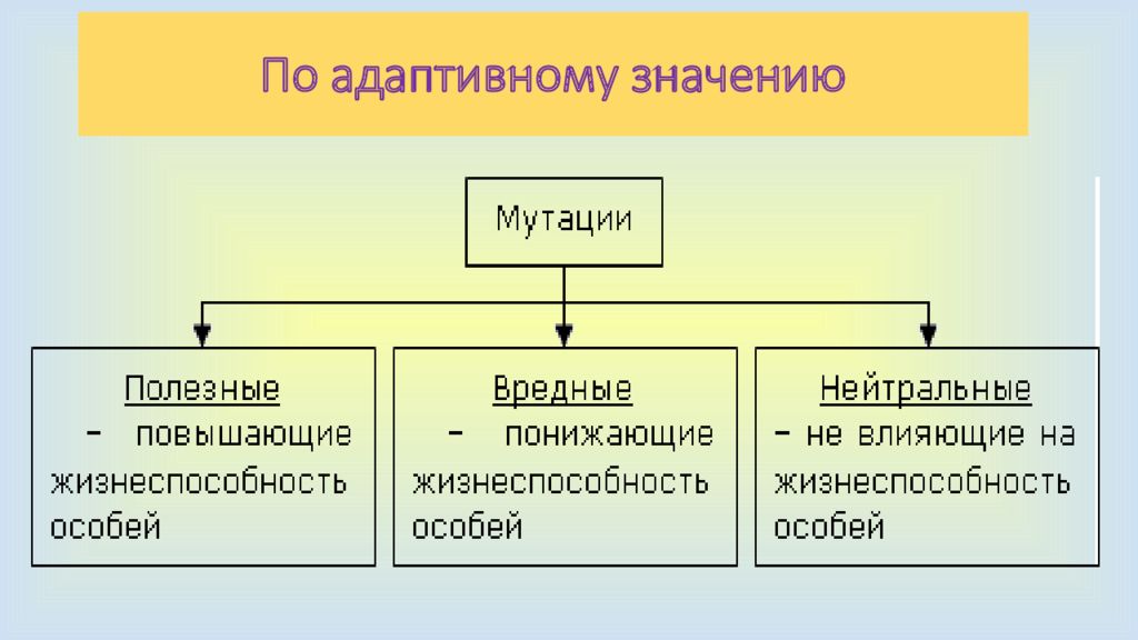 Значения мутации. Мутации по адаптивному значению. Мутации по адаптивному значению схема. Мутации по адаптивному значению примеры. Виды мутаций.