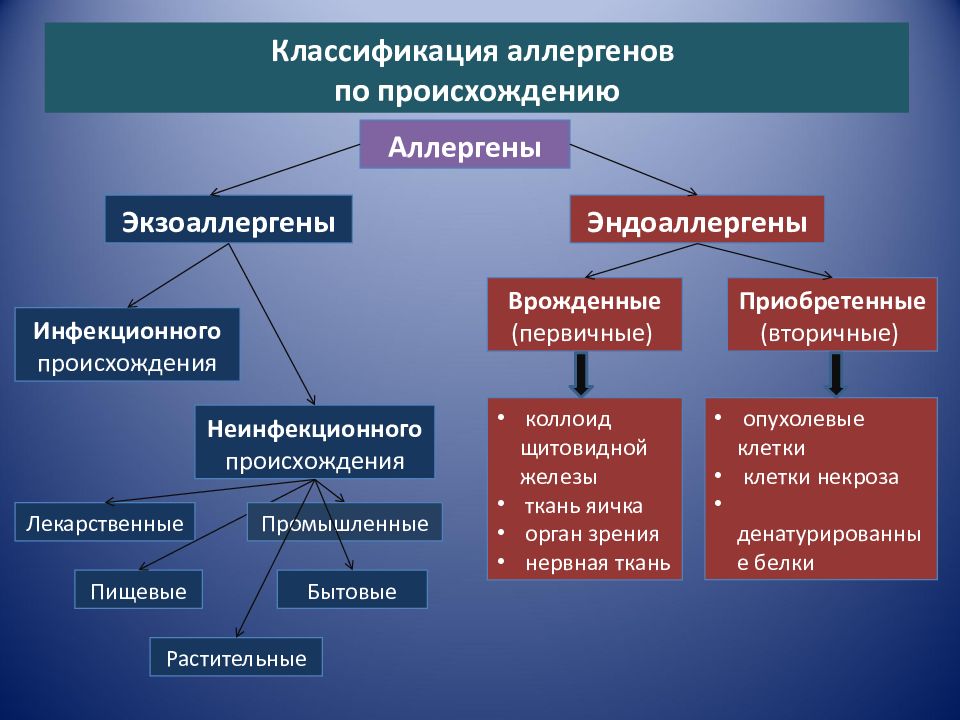 Виды аллергии с фотографиями