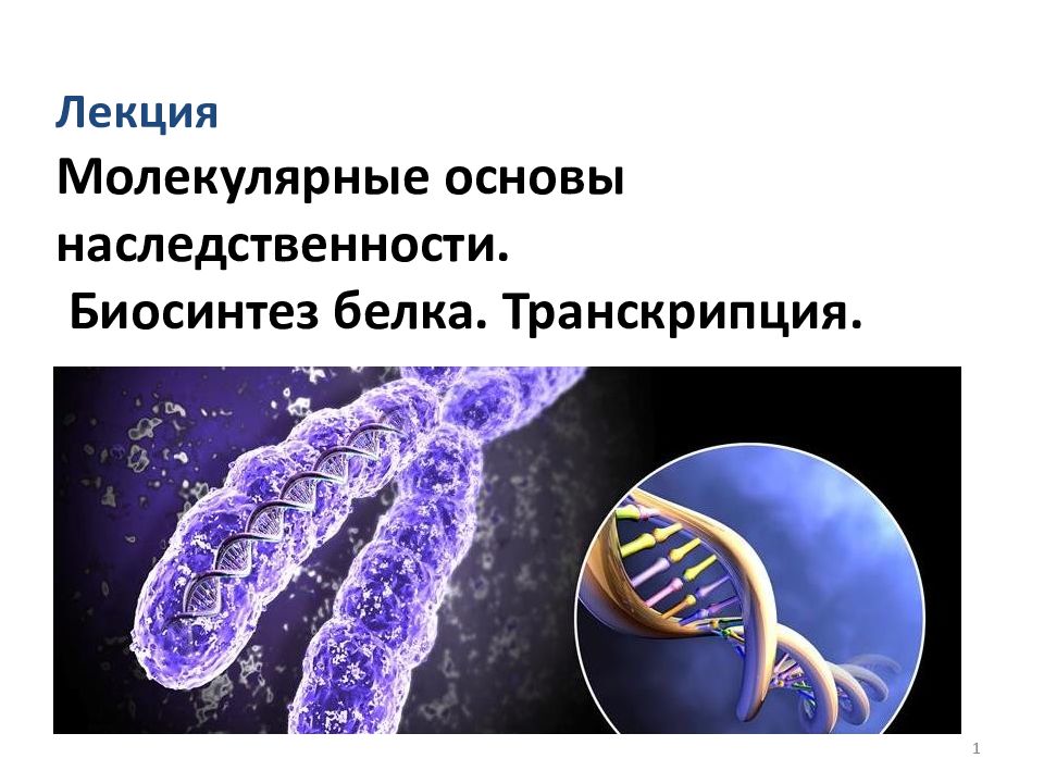 Лекция Молекулярные основы наследственности. Биосинтез белка. Транскрипция.