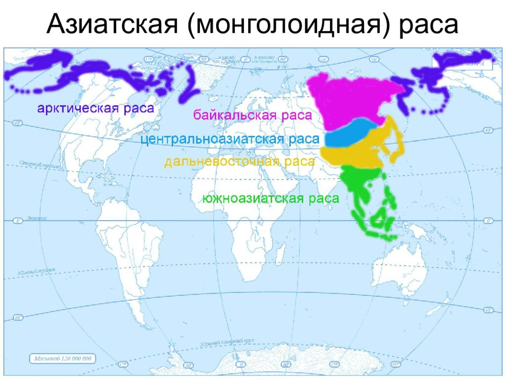 Ареалы рас. Монголоидная раса карта расселения. Ареал обитания монголоидной расы. Монголоидная ареал обитания. Северные монголоиды ареал.