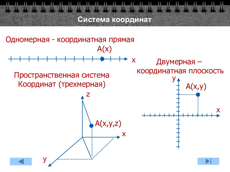 Одномерная система координат. Трехмерная система координат. Трехмерная координатная плоскость. Системы координат в кинематике.