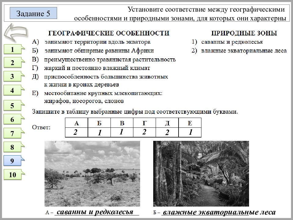 Установите соответствие между территориями. Задания на соответствие по географии. Установите соответствие между географическими особенностями. Установите соответствие между геогра. Занимают территории вдоль экватора.