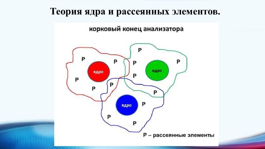 Павлово учения. Рассеянные элементы. Ядро теория групп. Центральное теоретическое ядро. Теоретическое ядро географии.