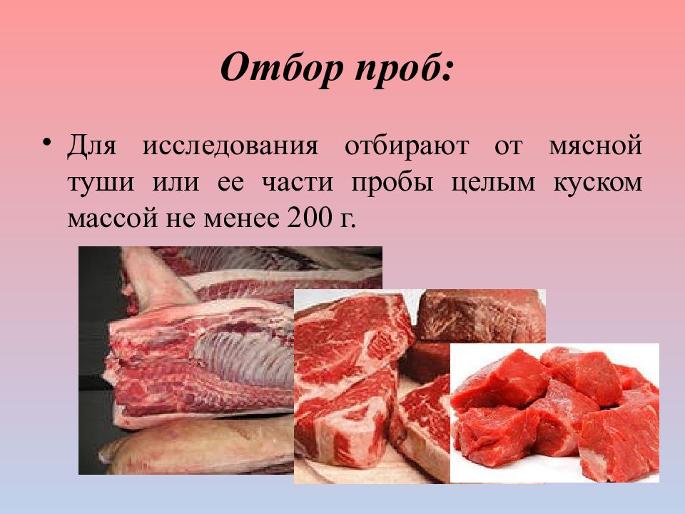 Отбор образцов продуктов и сырья животного происхождения для ветеринарно санитарной экспертизы