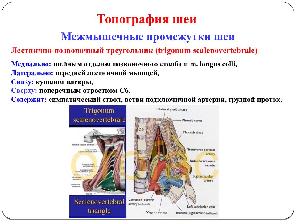  Foto 35