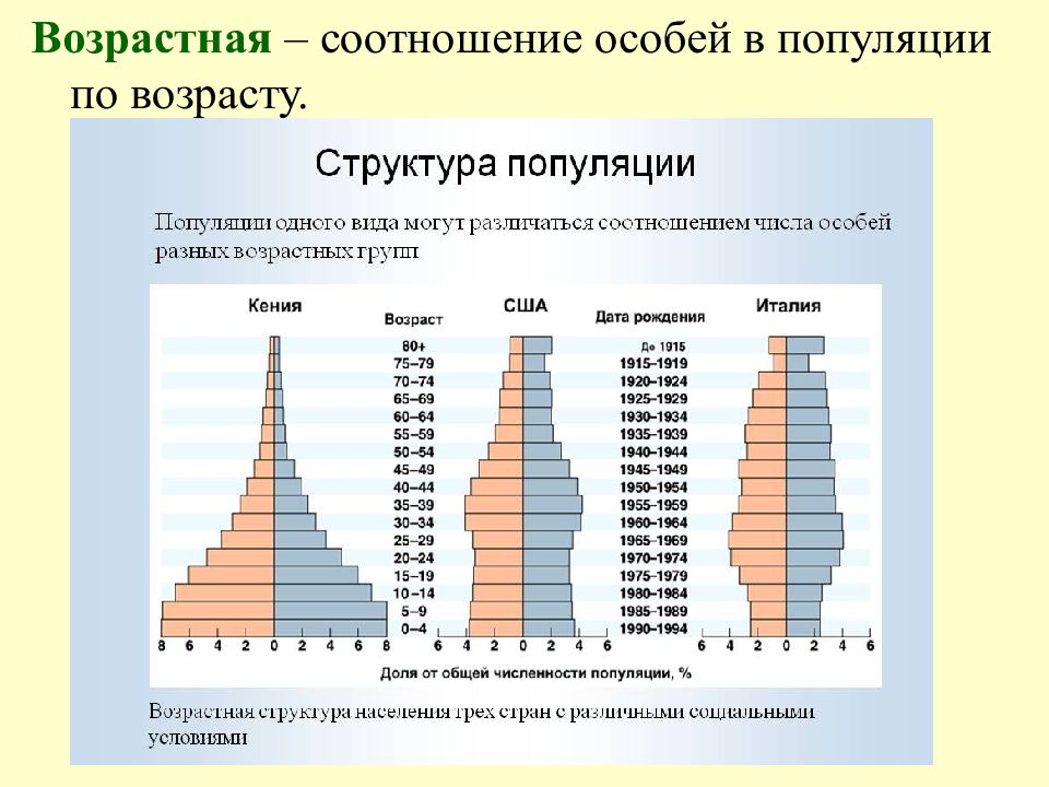 Возраст 1000. Типы возрастной структуры популяций. Возраст популяции. Возрастная структура популяции пирамиды возрастов. Соотношение полов в популяции.