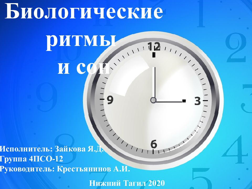 Биологические ритмы сон презентация 8 класс