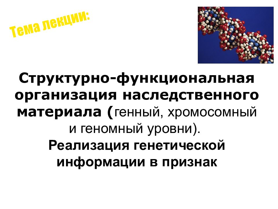 Тема лекции: Структурно-функциональная организация наследственного материала (