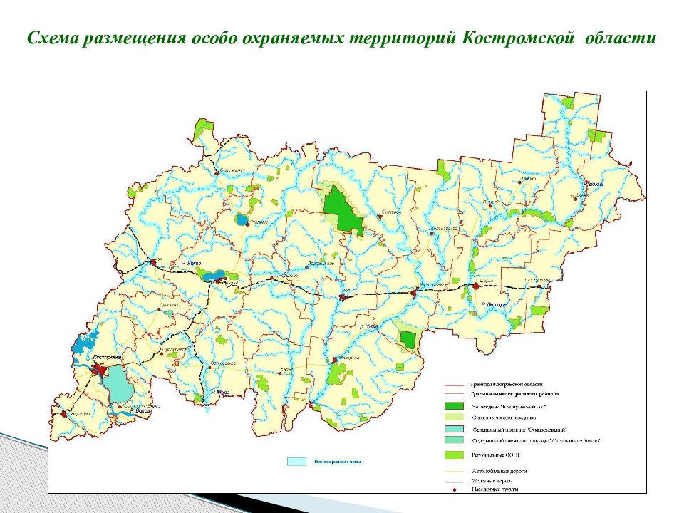 Презентация заповедник кологривский лес