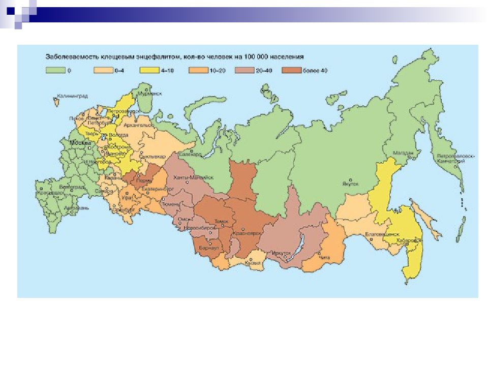 Вирус краснухи презентация