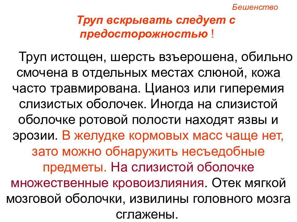 Взьерошенный или взъерошенный как. Вскрытие трупа при бешенстве.