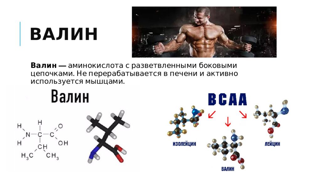 Аминокислота s. Валин строение аминокислоты. Валин структурная формула аминокислота. Валин аминокислота формула. Аминокислоты с разветвленной цепью.