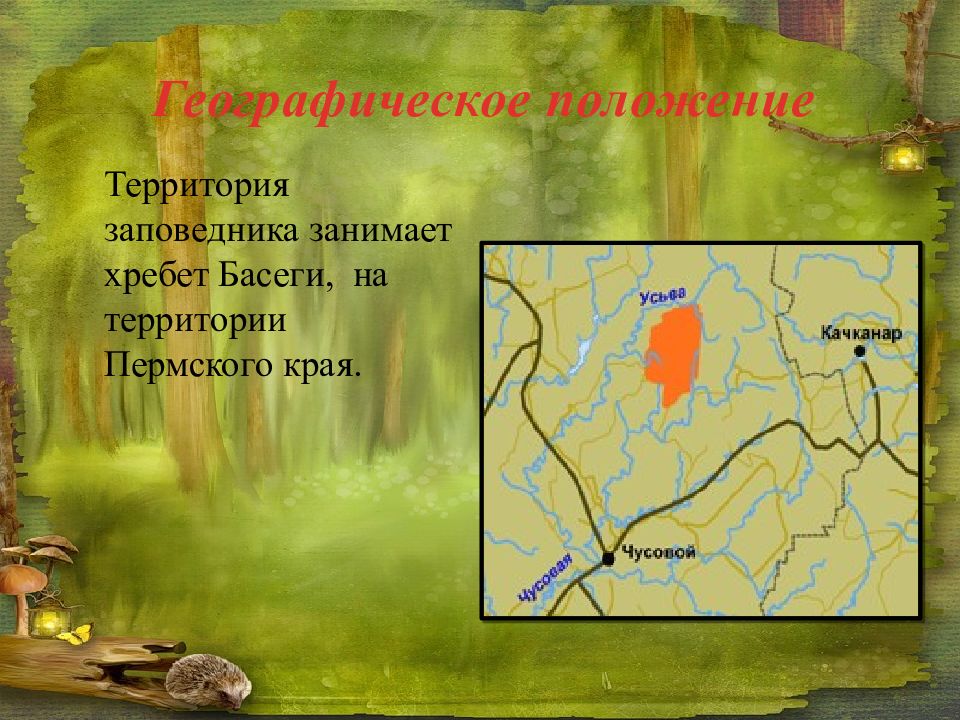 Положение территории. Басеги заповедник Пермский край на карте. Заповедники Пермского края презентация. Заповедники и заказники Пермского края. Заповедник Басеги географическое положение.