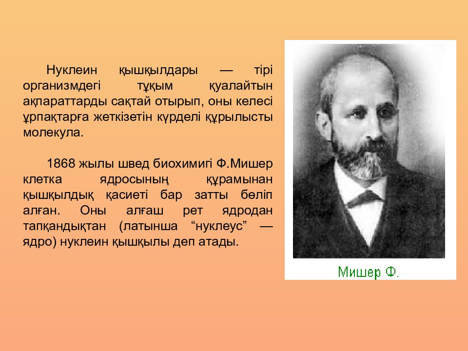 Нуклеин. Мишер приложение. Достижения молекулярной биологии Мишер. Нуклеины. Генетика 1868.