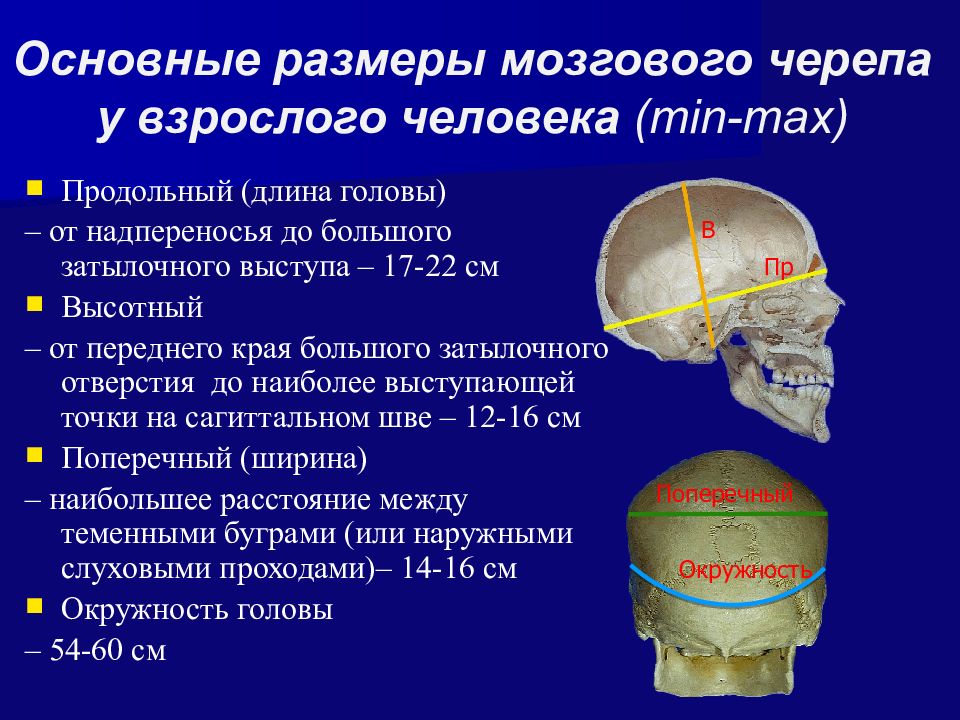 Презентация топографическая анатомия мозгового отдела головы