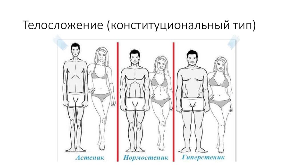 Типы телосложения с примерами Картинки КОНСТИТУЦИОНАЛЬНЫЙ ТИП ТЕЛОСЛОЖЕНИЯ