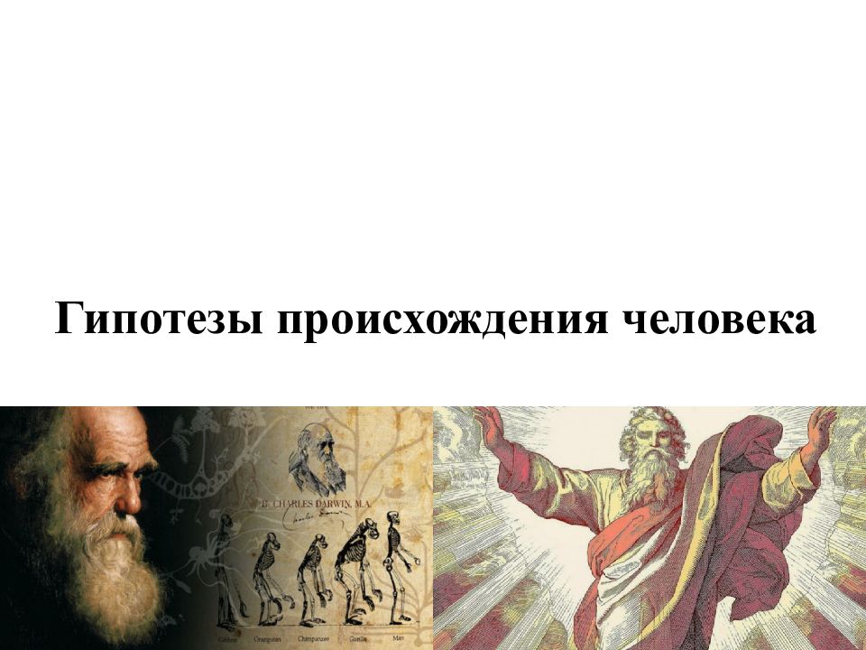 Гипотезы происхождения человека