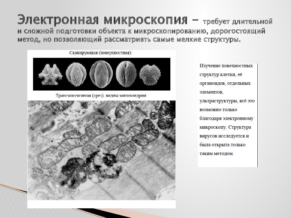 Применение метода микроскопии. Микроскопия. Электронная микроскопия. Метод электронной микроскопии. Электронная микроскопия это в биологии.