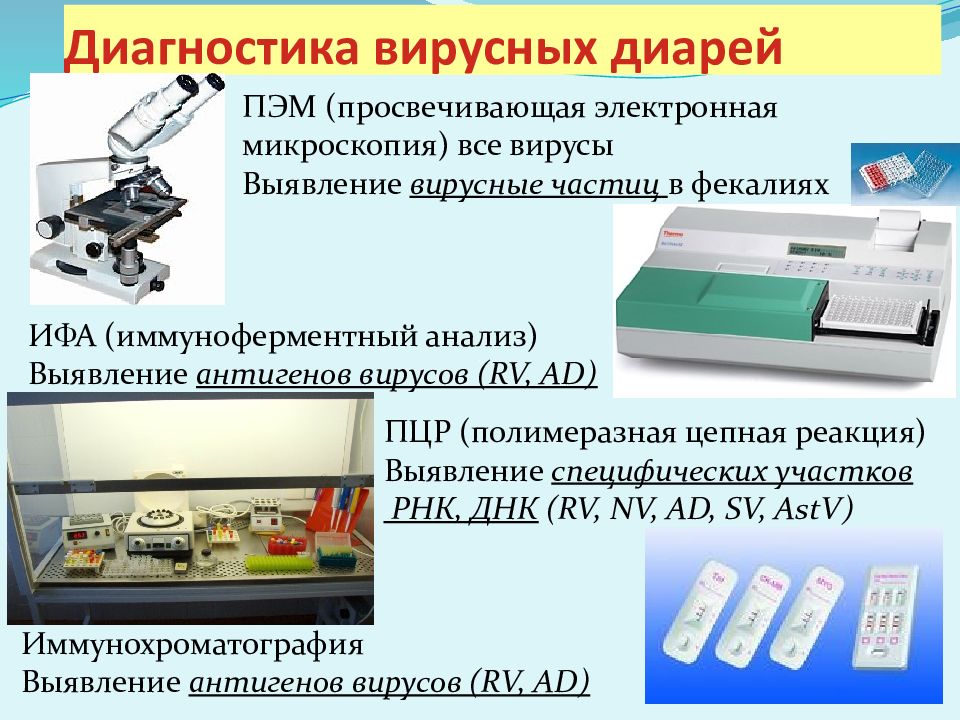 Диагностика вирусных кишечных инфекций