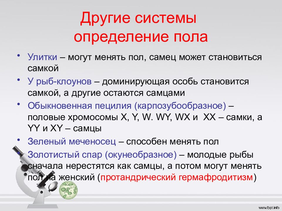 Презентация пол полу. Доминантная особь. Как определяется пол особи букв. Презентация Полигалогениды. Доминирующая особь это что означает.