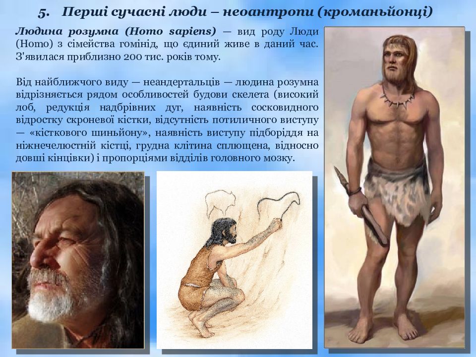 Вид человек разумный. Вид человек разумный (homo sapiens). Кроманьонец человек разумный homo sapiens. Кроманьонец человек разумный разумный. Вид человек разумный разумный (кроманьонец).