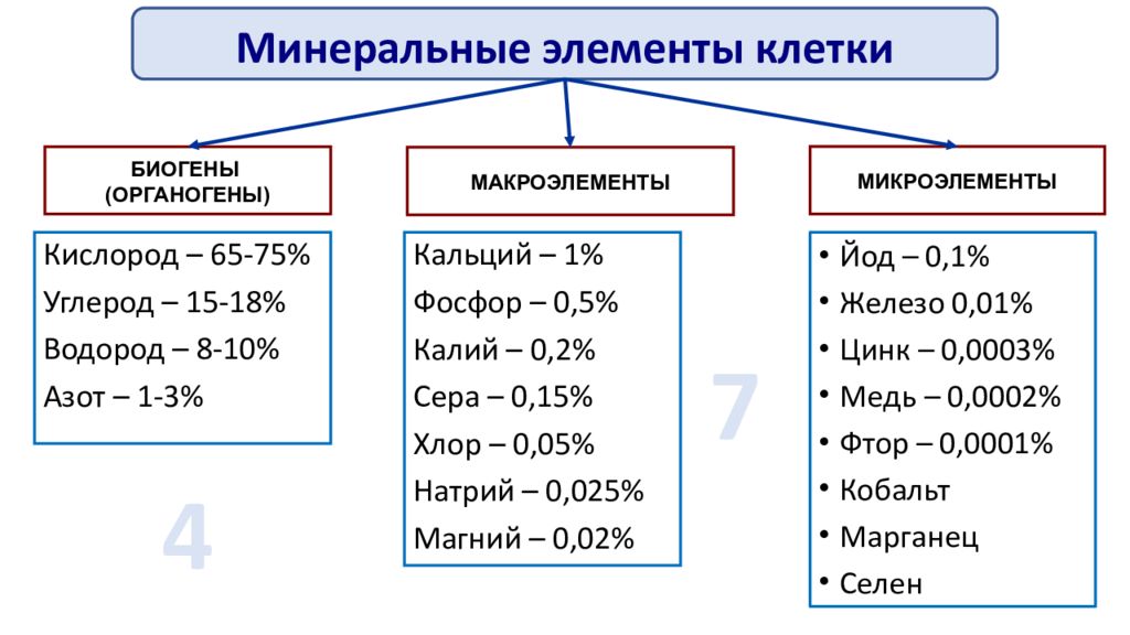 Органогены