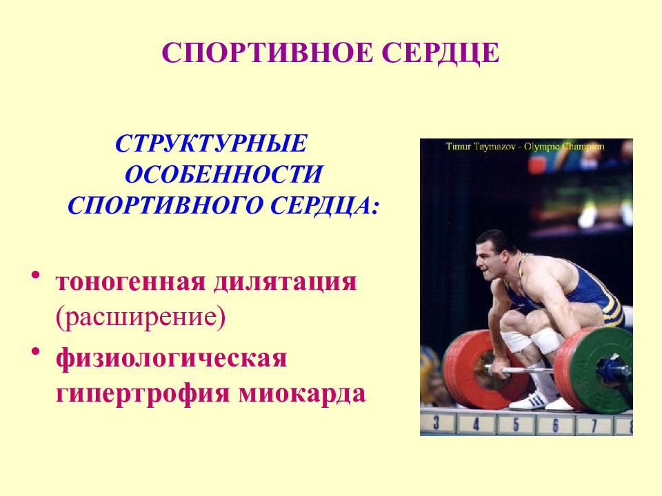 Спортивное сердце презентация