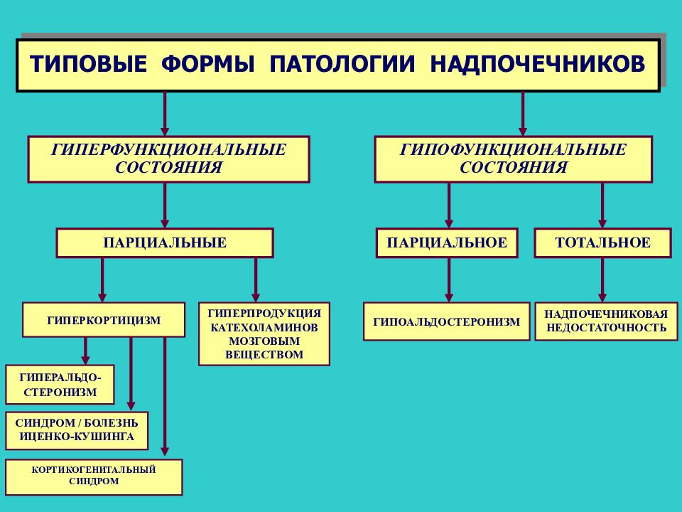 Заболевания надпочечников презентация