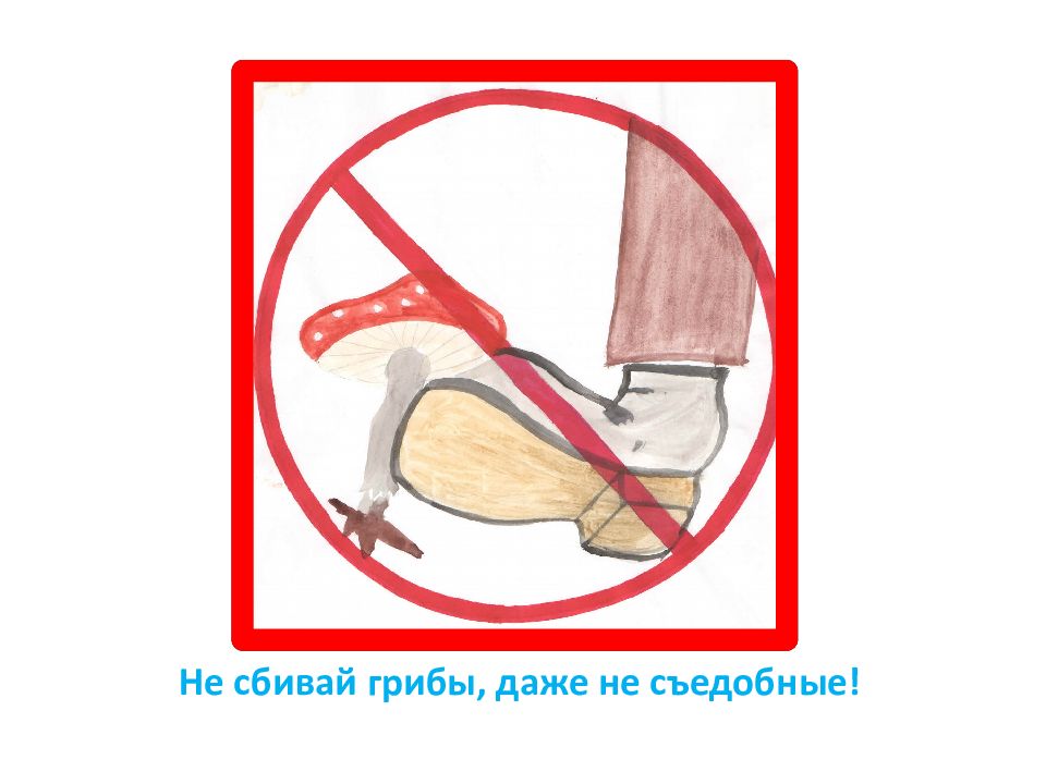 Знак нельзя собирать грибы. Не сбивай грибы знак. Природоохранные знаки. Знак не сбивайте грибы даже несъедобные. Экологический знак не уничтожай грибы.