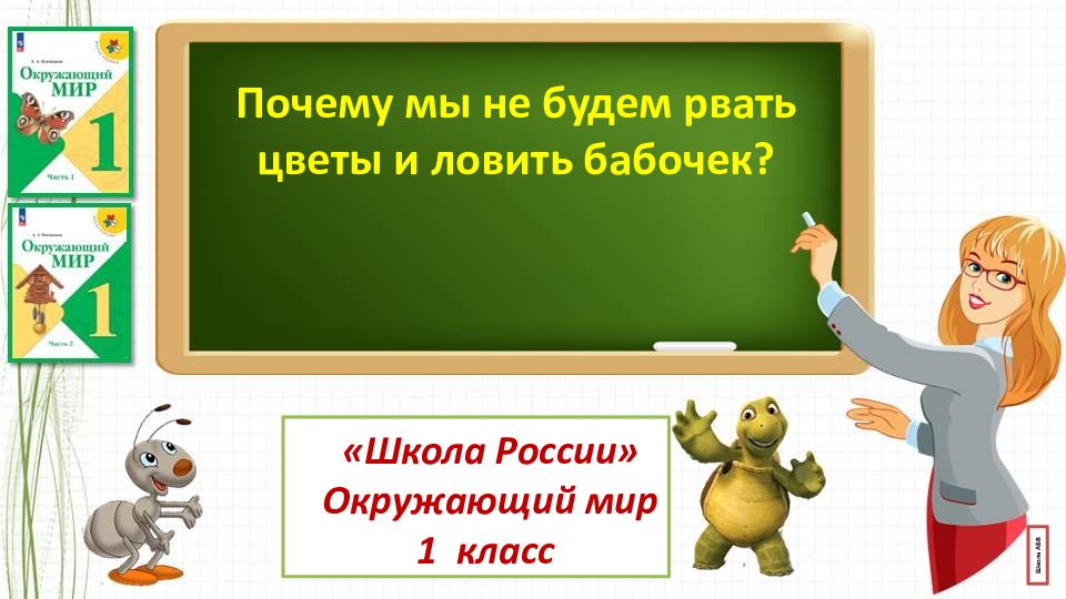 Почему мы не будем рвать цветы и ловить бабочек? «Школа России» Окружающий